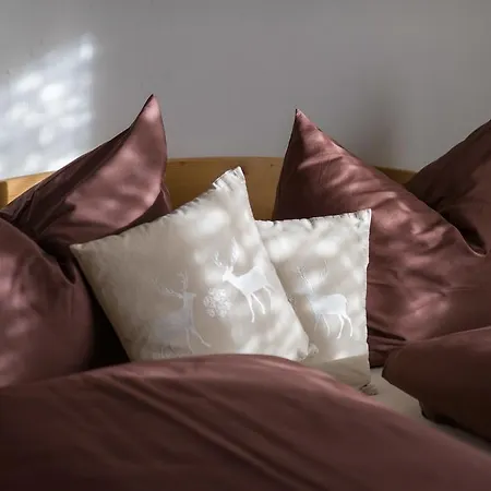 Apartment Hotzendorfer Schladming
